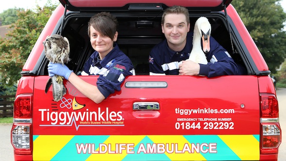Toyota helps Tiggywinkles Animal Hospital with a Hilux - Toyota UK Magazine
