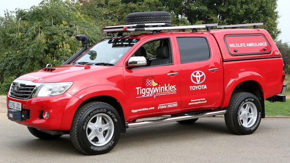 St Tiggywinkles Toyota Sponsorship - Buckinghamshire