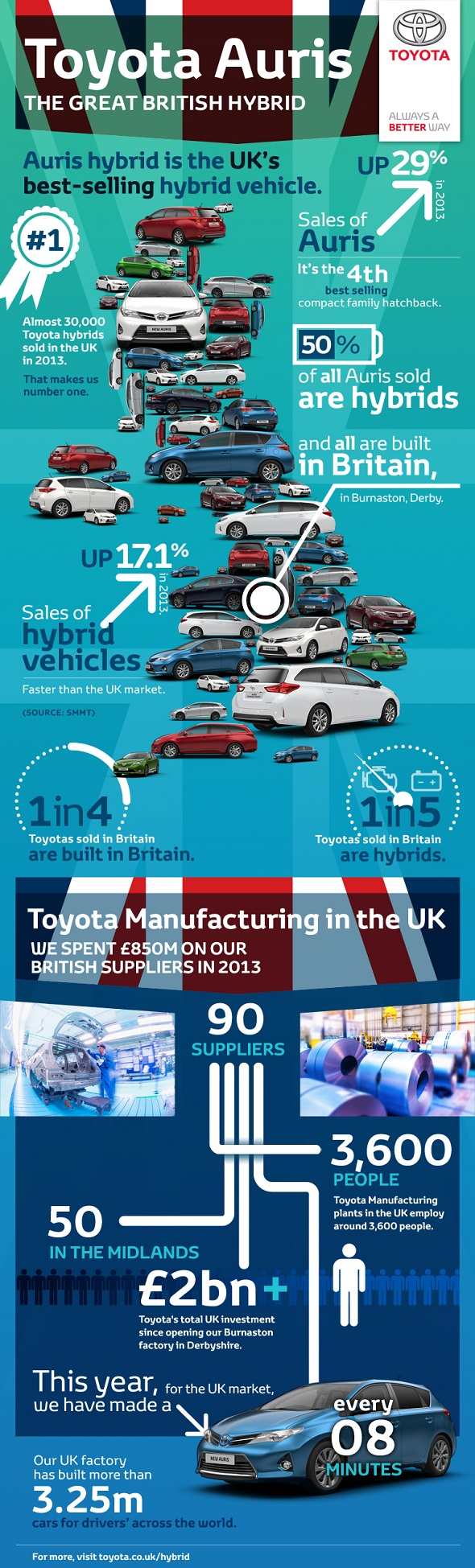 Auris infographic