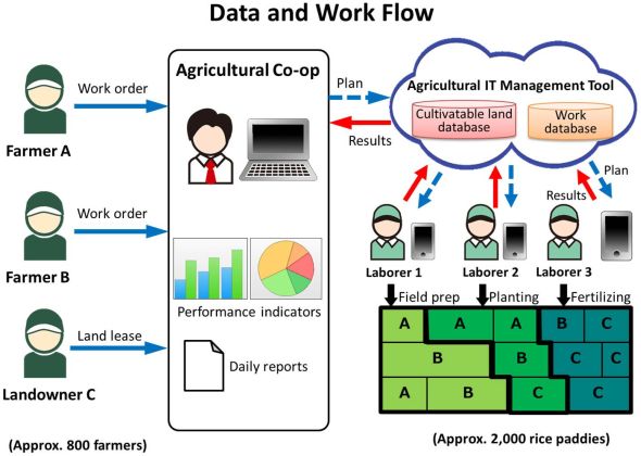 Paddy work flow