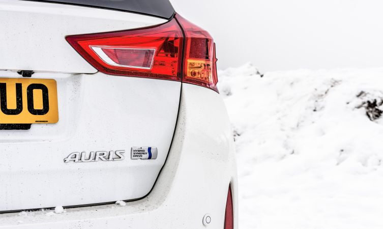 Auris to Auris 027