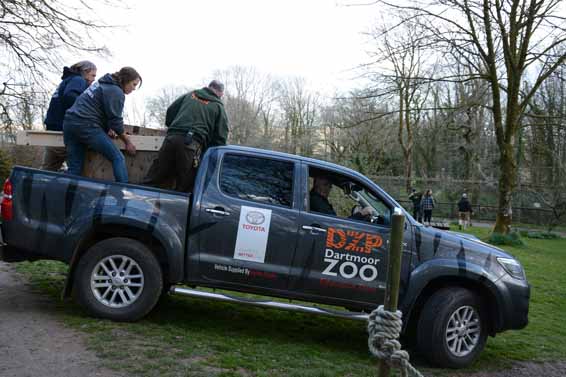 Toyota Hilux wolf Dartmoor Zoo (4)