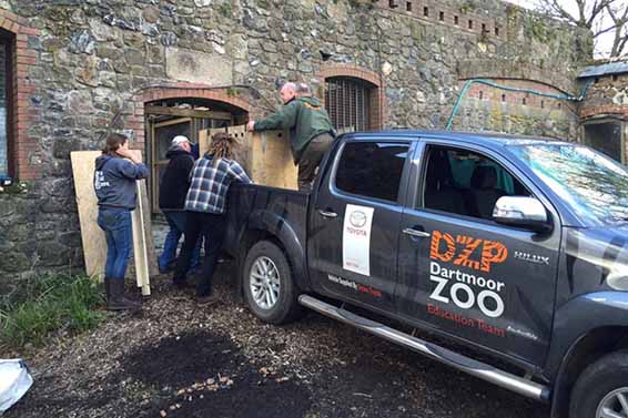 Toyota Hilux wolf Dartmoor Zoo (5)