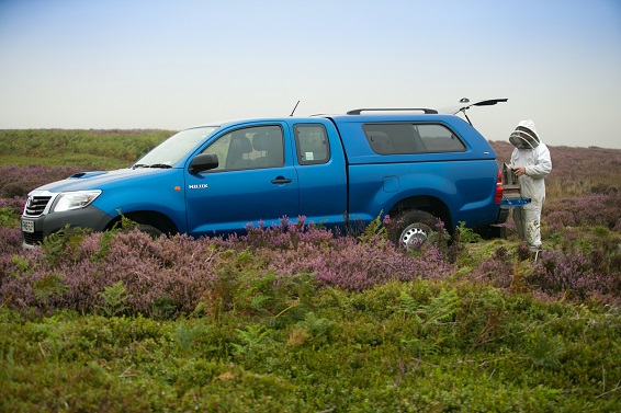 Hilux, Heather and Honey