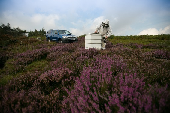 Bee Farmers’ Association Hilux