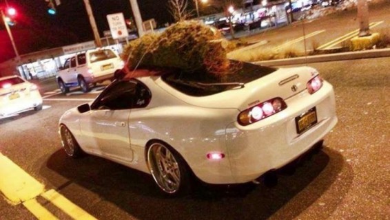 Supra christmas tree