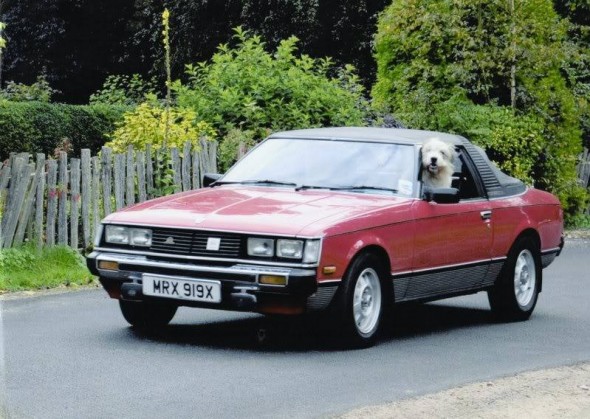 ian condliffe dog rowley, 1981 celica sunchaser convertible