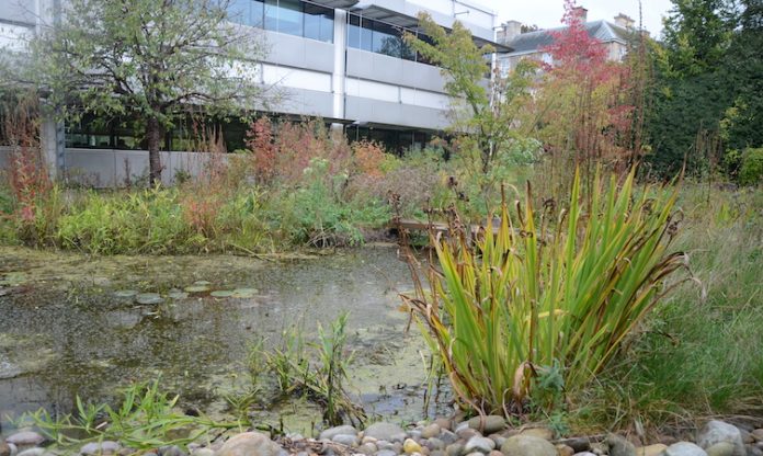 Toyota GB Biodiversity Benchmark