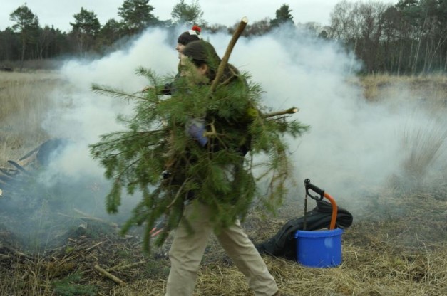 Chopping on the Common 4