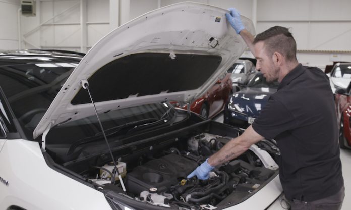 Checking fluids under the bonnet