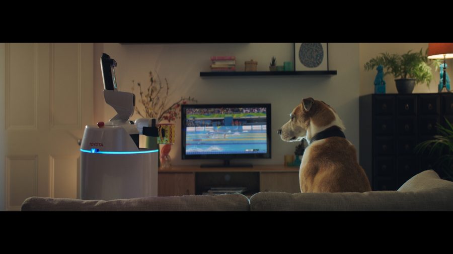 Human Support Robot advert