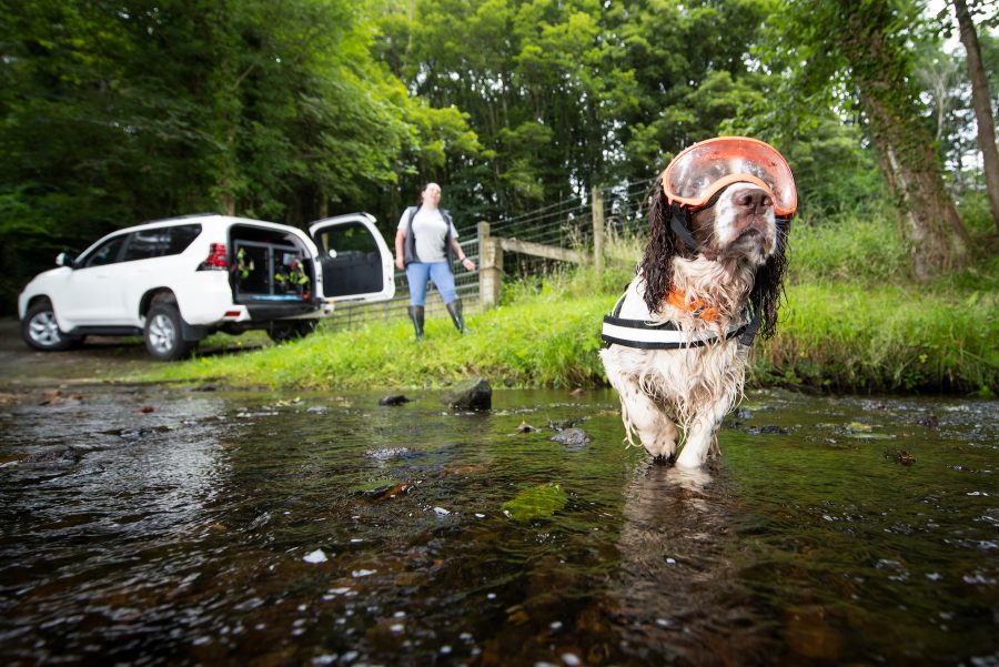 Paws for Conservation - Land Cruiser