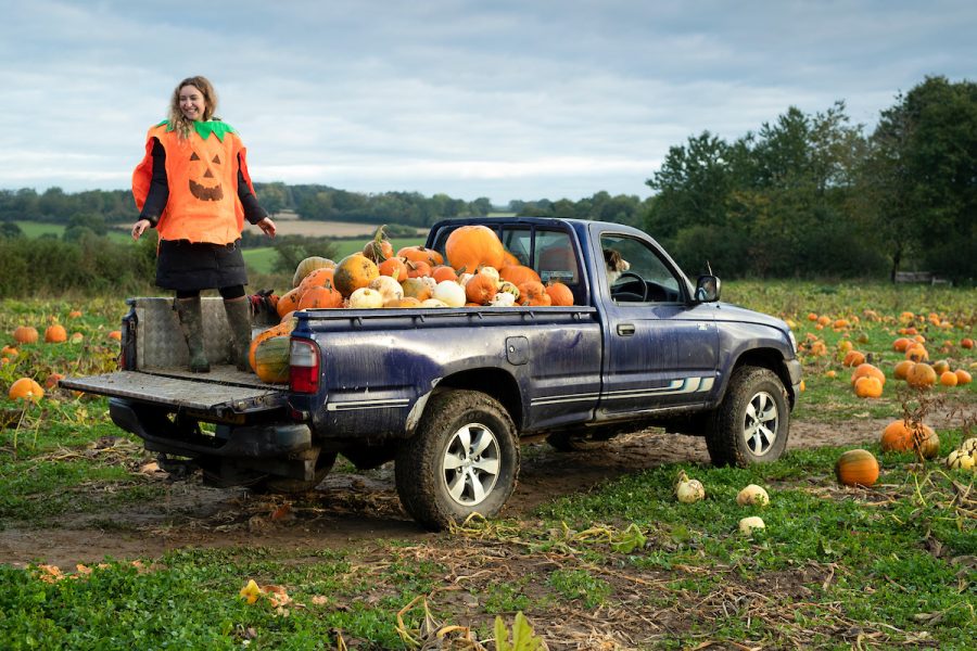 Pumpkin patch picking in a Hilux