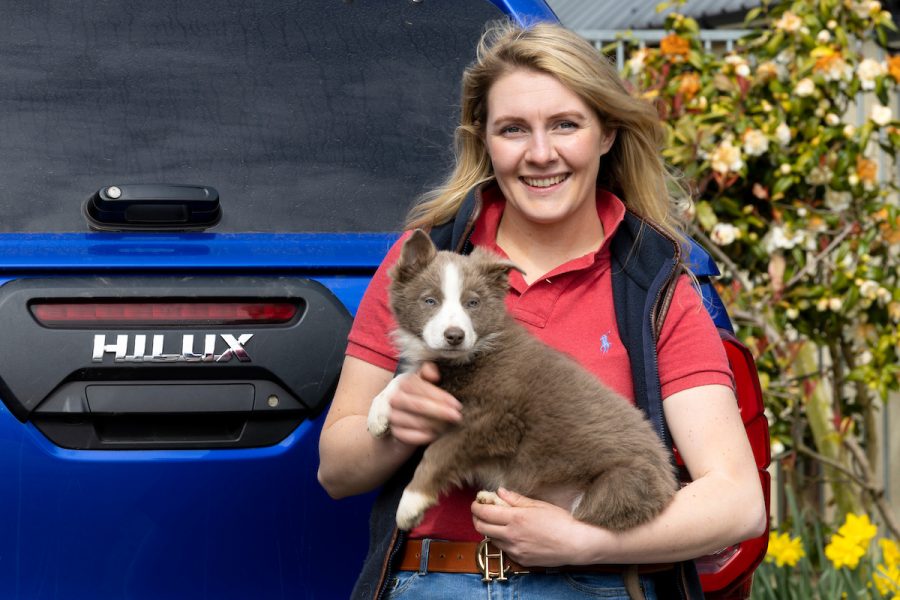 Becky's 2024 mobile grooming