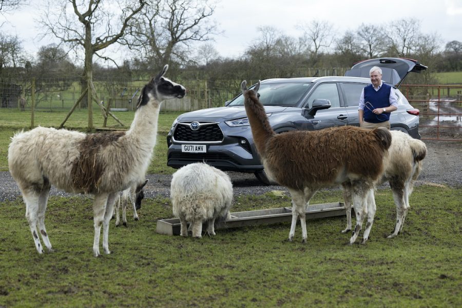 Yorkshire Vet Highlander