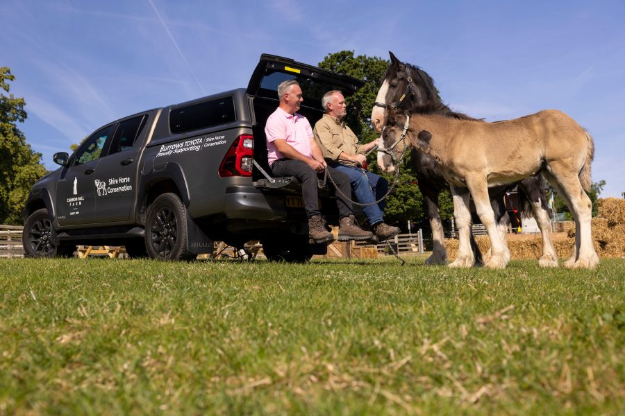 Cannon Hall Farm Hilux