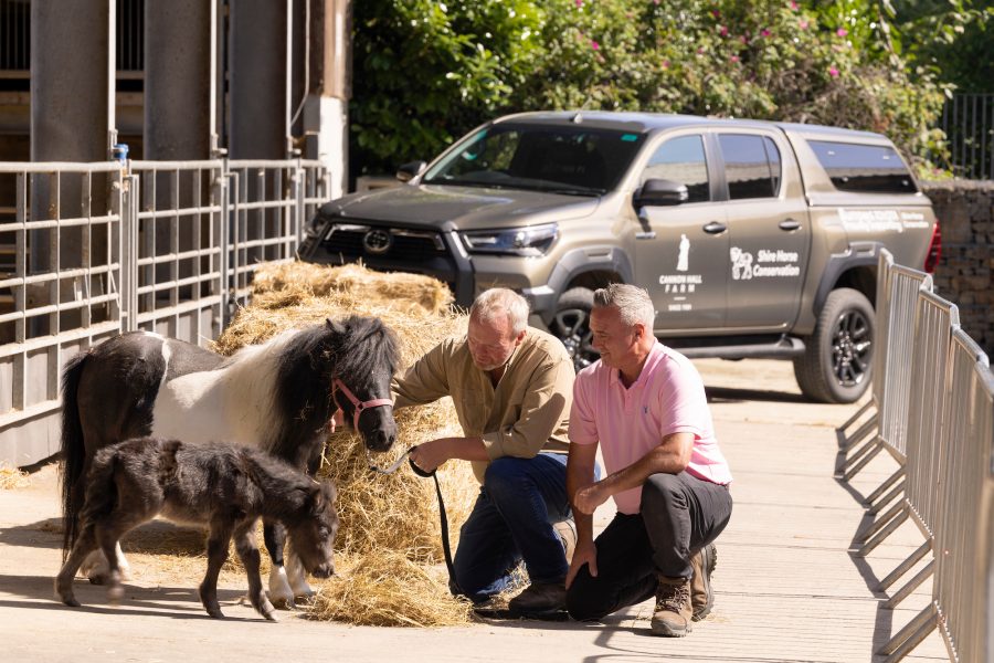 Cannon Hall Farm Hilux