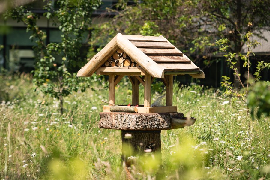 A bird table in a wildflower meadow