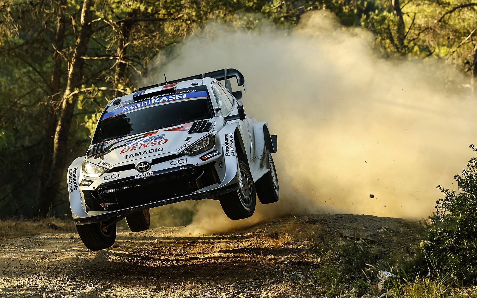 WRC 2025 result