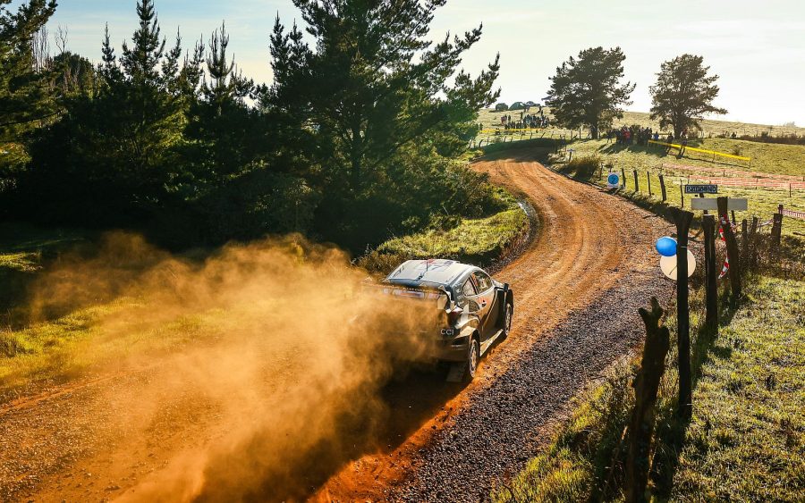 WRC 2025 result